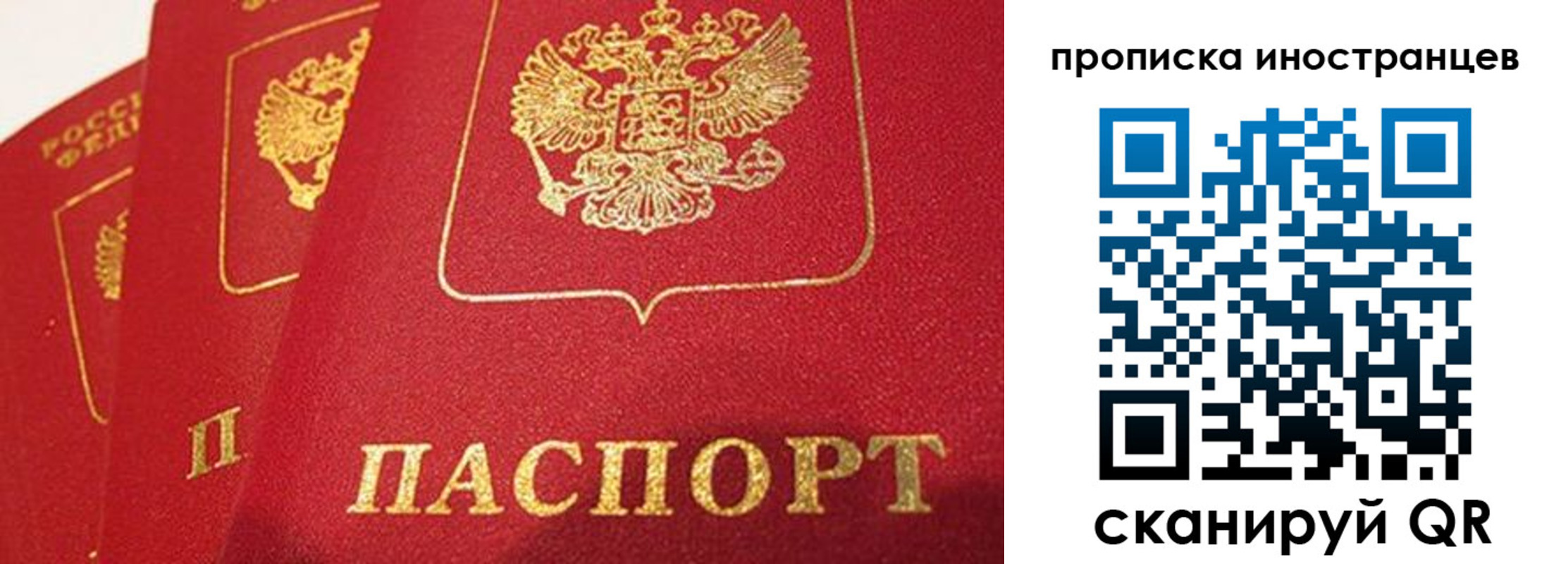 прописка поиск в Инте